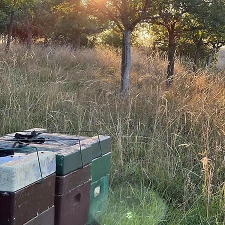 Idyllisches Im Gruenen Mit Fernblick *