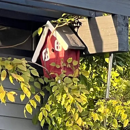 Idyllisches Im Gruenen Mit Fernblick Usingen
